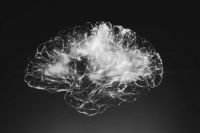 Relatives with difficulties for the Parkinsonian sufferer