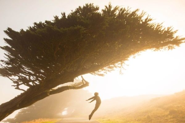 The interest in prevention and treatment of diseases of the Pulsed Electromagnetic High Intesity Frequency or HI PEMF.